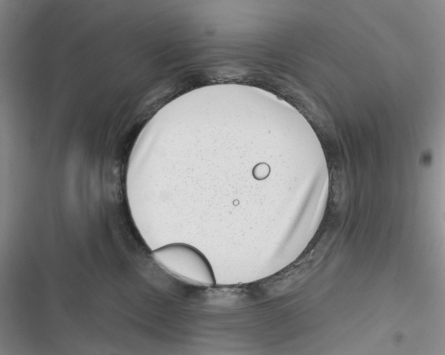 X0000116810378201001151149