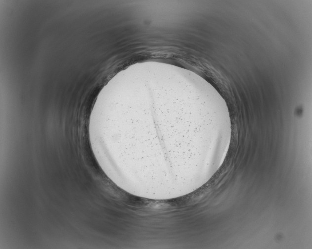 X0000116810379201001151149