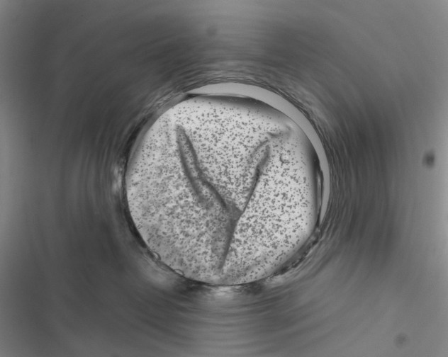 X0000116810382201001151149
