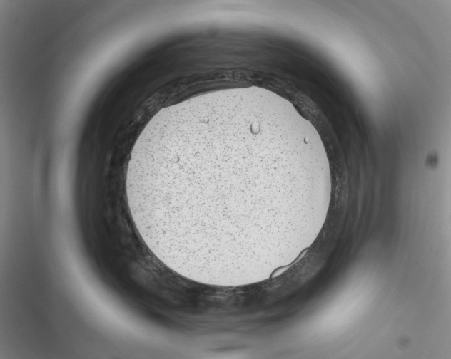 X0000116810383201001151149
