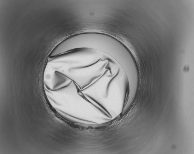 X0000116810385201001151148