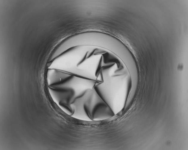 X0000116810386201001151148