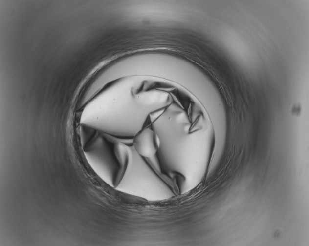 X0000116810387201001151148