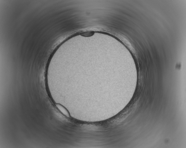 X0000116810389201001151148