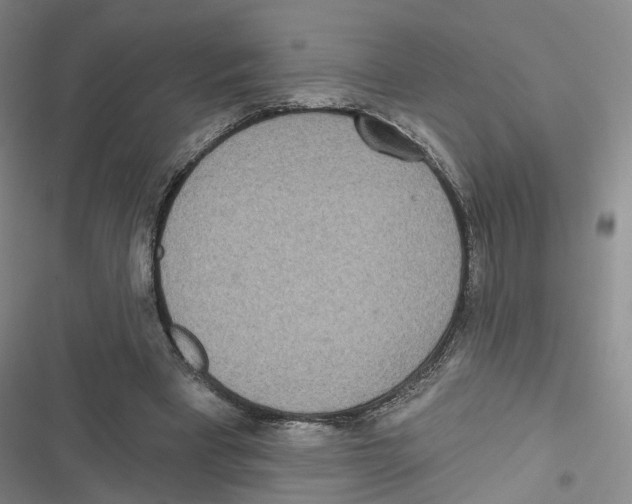 X0000116810393201001151148