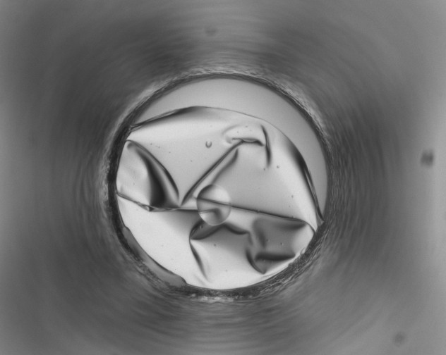 X0000116810395201001151148