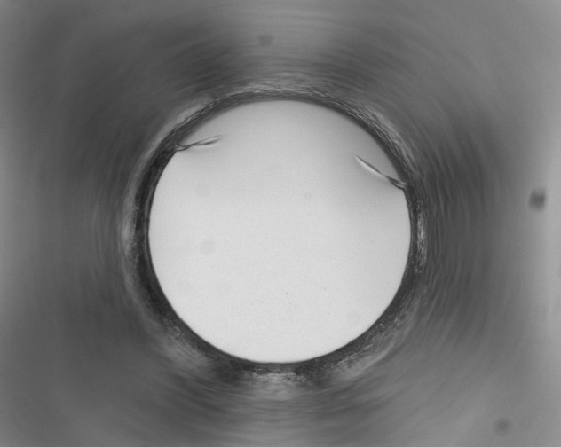 X0000116810396201001151148