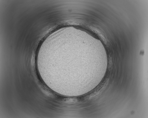 X0000116810398201001151148