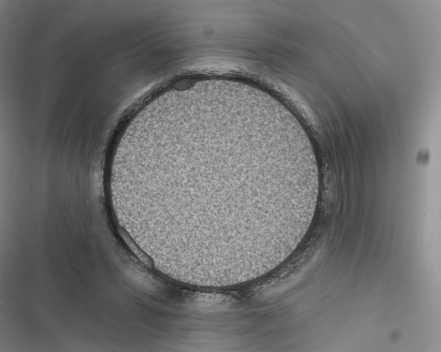 X0000116810399201001151148
