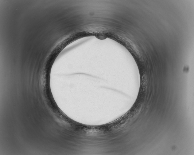 X0000116810400201001151148