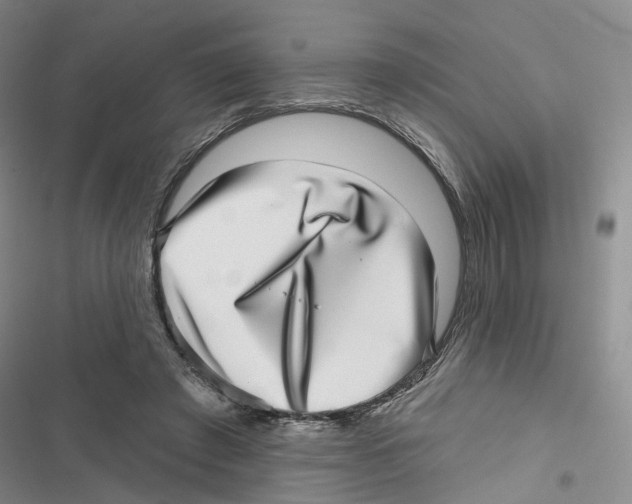 X0000116810401201001151148
