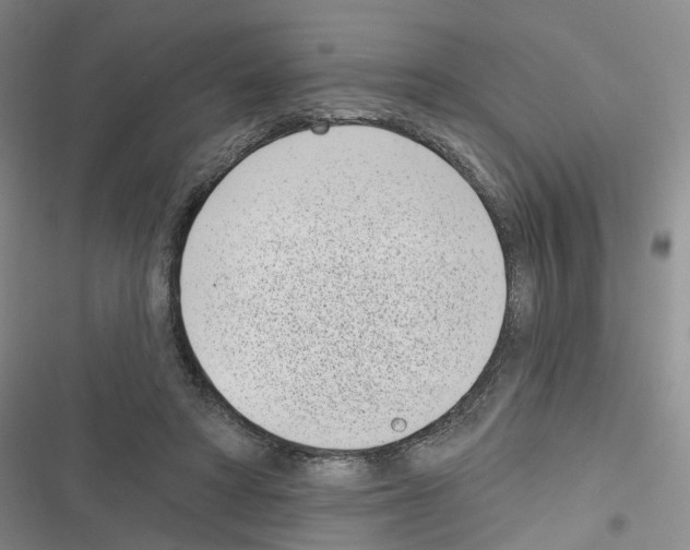 X0000116810402201001151148