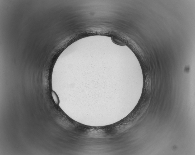 X0000116810403201001151148