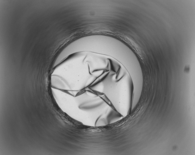 X0000116810405201001151148