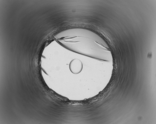 X0000116810407201001151148