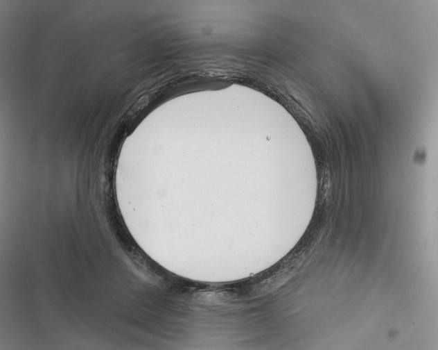 X0000116810408201001151148