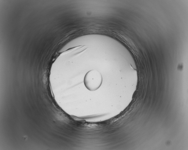 X0000116810409201001151148