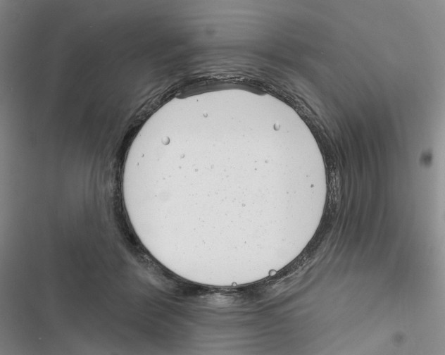 X0000116810412201001151148