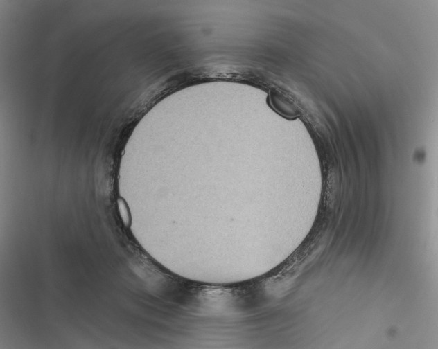 X0000116810413201001151148