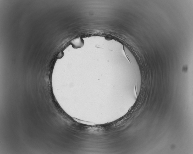 X0000116810415201001151148