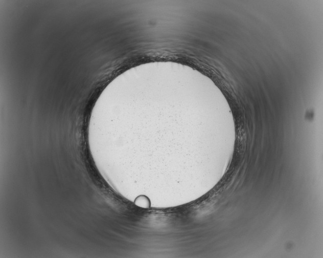 X0000116810416201001151148