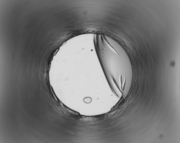 X0000116810417201001151148