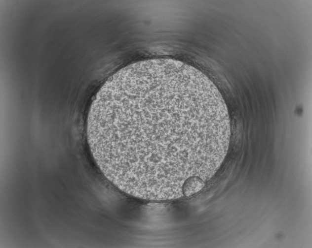 X0000116810418201001151148