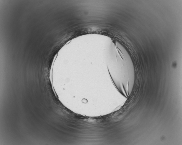 X0000116810419201001151148