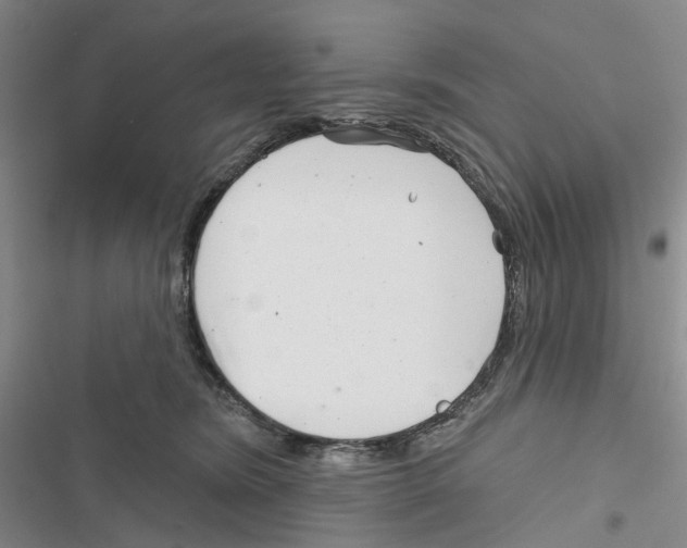 X0000116810420201001151148