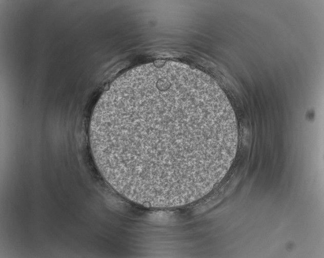 X0000116810422201001151148
