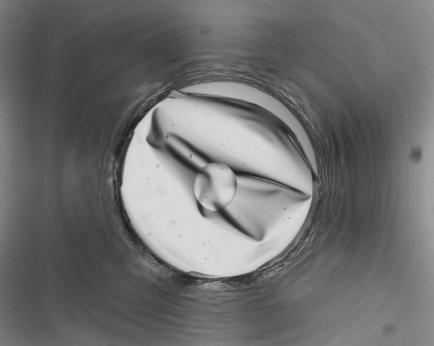 X0000116810423201001151148