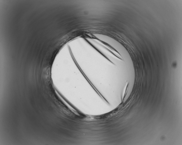 X0000116810425201001151148