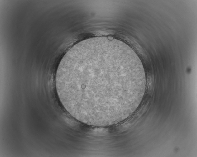 X0000116810426201001151148