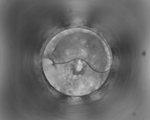 X0000116810427201001151148