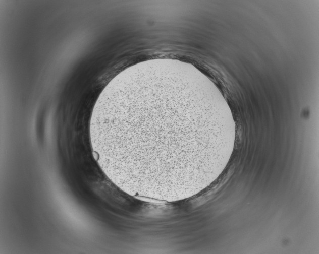 X0000116810429201001151147