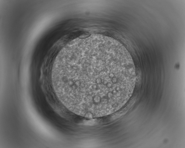 X0000116810430201001151147