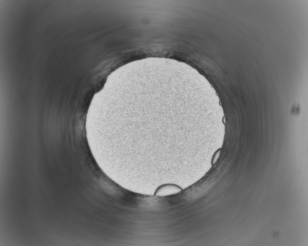X0000116810432201001151147