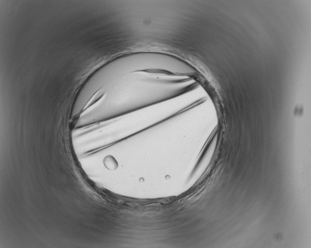 X0000116810433201001151147