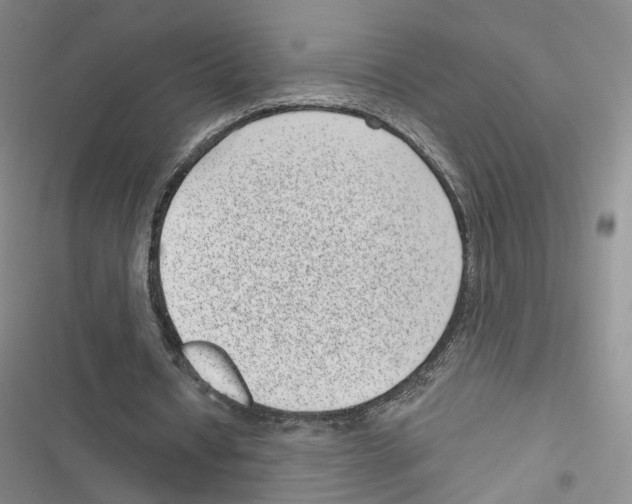 X0000116810434201001151147
