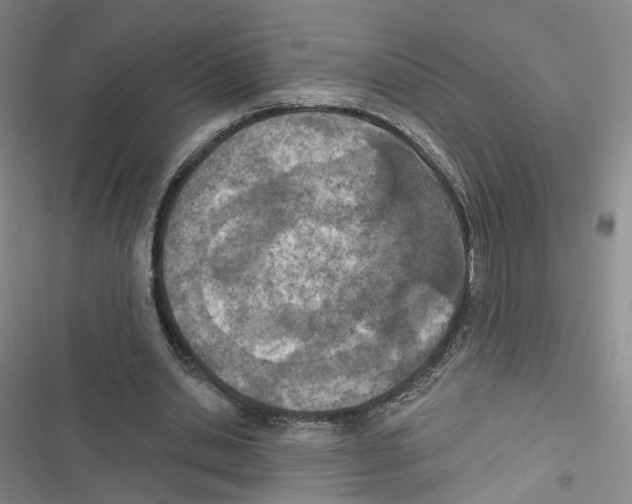 X0000116810438201001151147