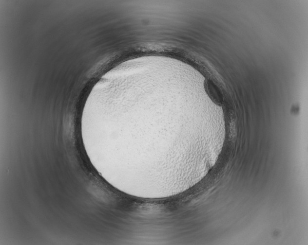 X0000116810444201001151147