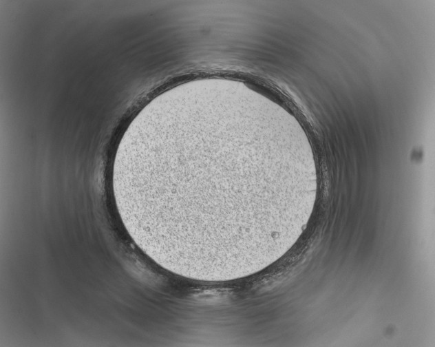 X0000116810447201001151147