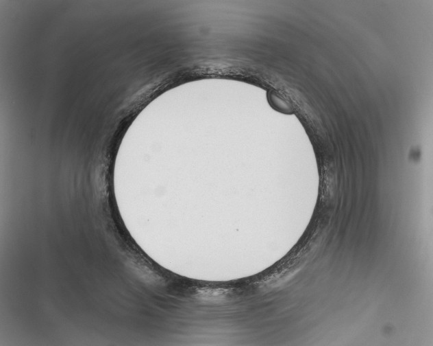 X0000116810450201001151147