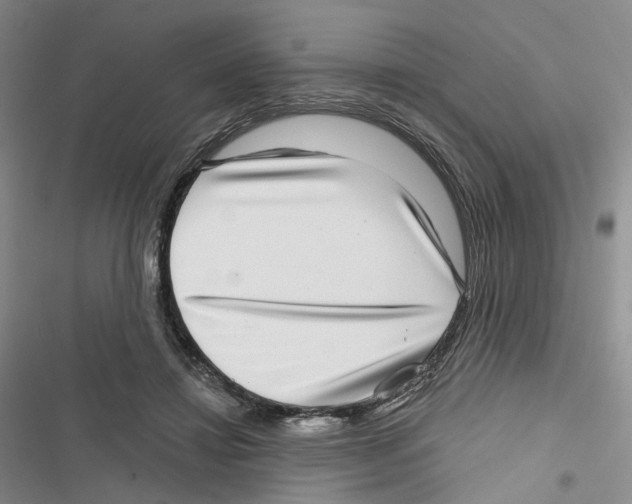 X0000116810452201001151147