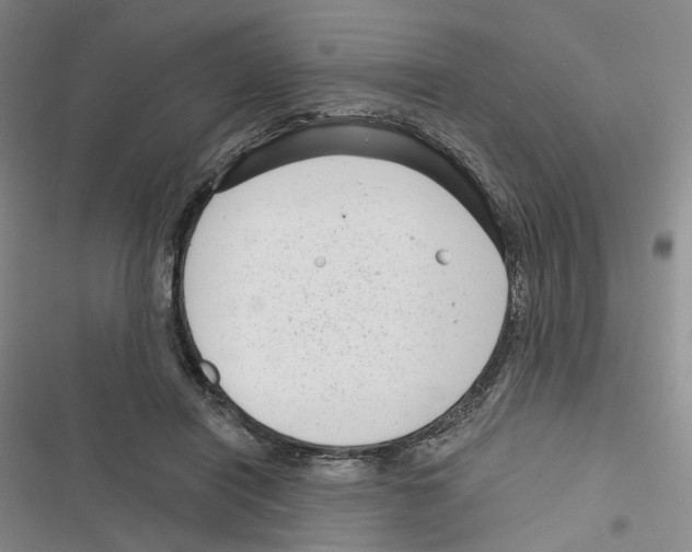 X0000116810454201001151147