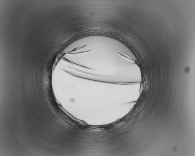X0000116810456201001151147