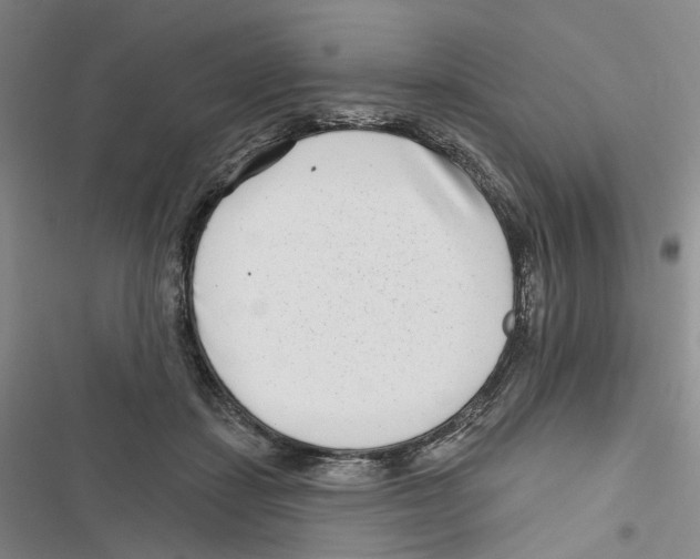 X0000116810459201001151147