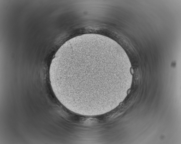 X0000116810463201001151147