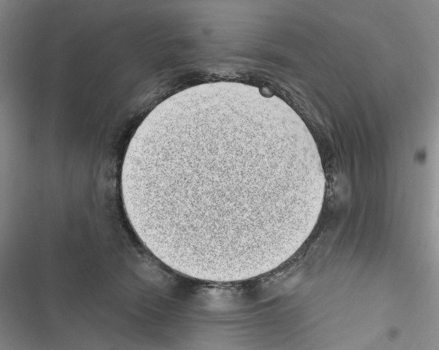 X0000116810466201001151147