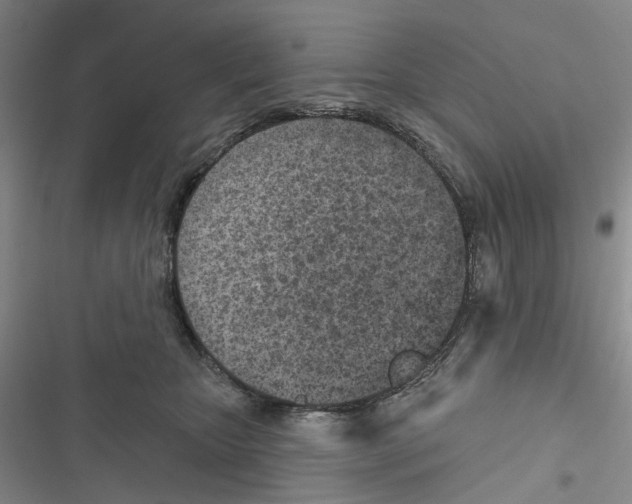 X0000116810467201001151147